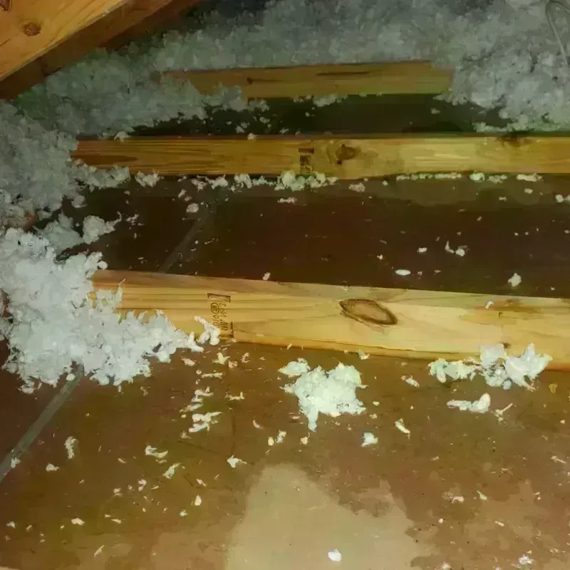 Attic Water Damage in Mesa County, CO