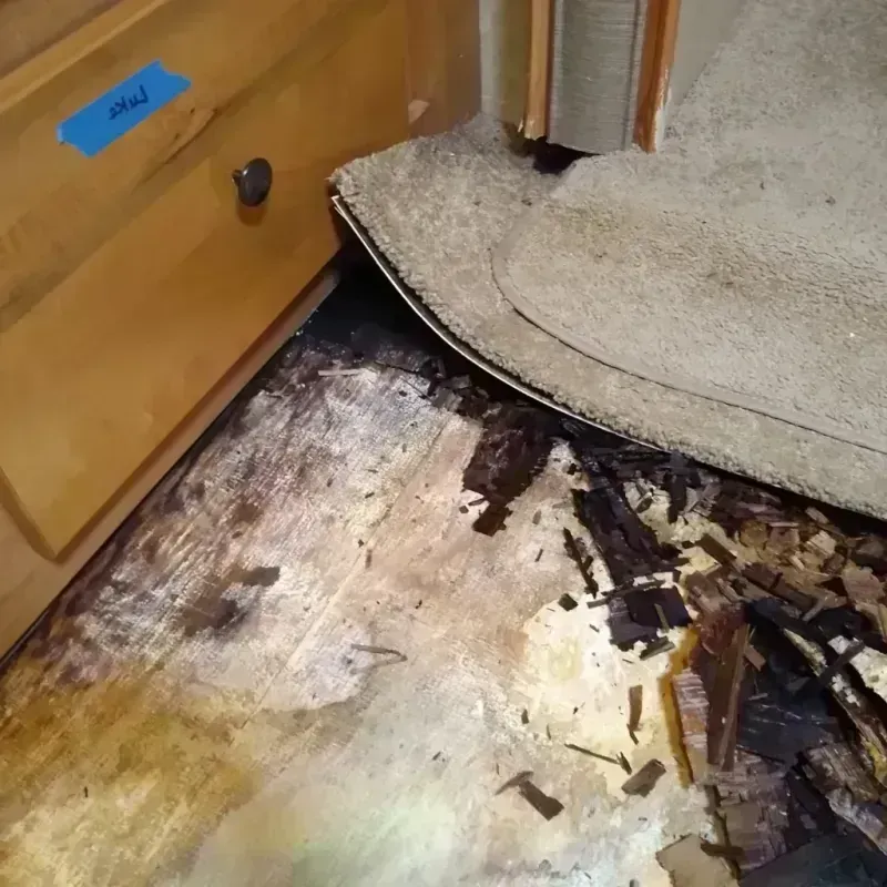 Wood Floor Water Damage in Mesa County, CO